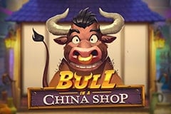 Bull in a China Shop