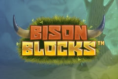 Bison Blocks