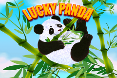 Lucky Panda