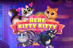 Here Kitty Kitty