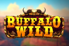 Buffalo Wild
