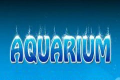 Aquarium