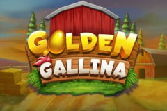 Golden Gallina
