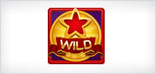 slot wilds