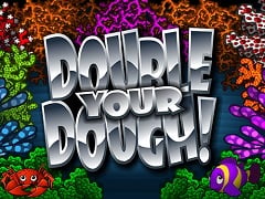 Double Your Dough