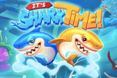 It's Shark Time