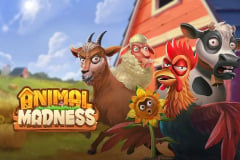 Animal Madness