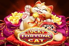 Lucky Fortune Cat