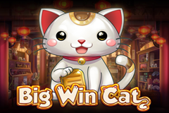 Big Win Cat