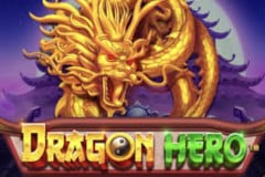 Dragon Hero