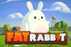 Fat Rabbit