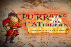 Purrates of the Catibbean