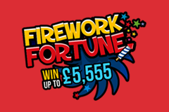 Firework Fortune