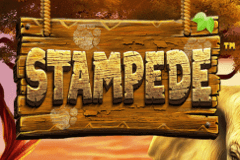 Stampede