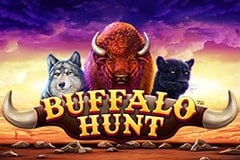 Buffalo Hunt