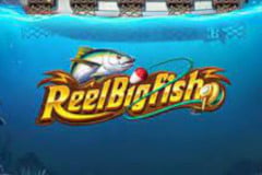 Reel Big Fish