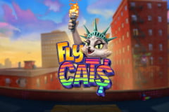 Fly Cats