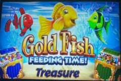 Gold Fish Feeding Time Treasure