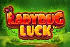Ladybug Luck