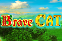 Brave Cat