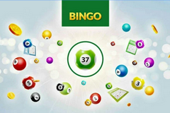 Bingo 37 Ticket