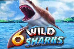 6 Wild Sharks
