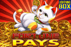 Fortune Pays