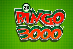 Bingo 3000