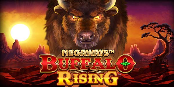 buffalo rising